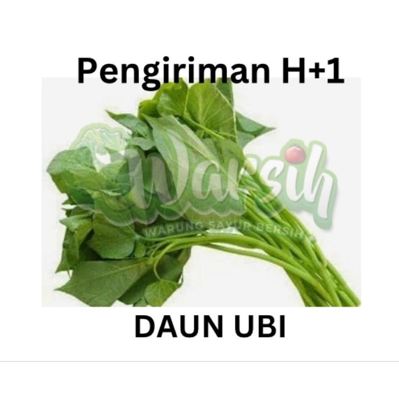 

WARSIH • DAUN UBI 1 IKAT