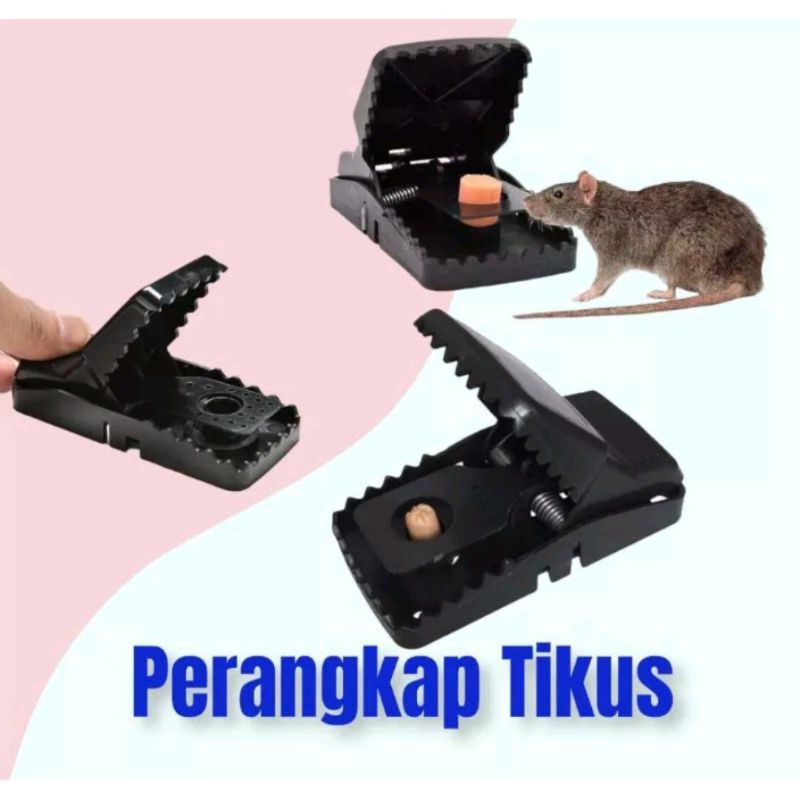 PERANGKAP JEBAKAN TIKUS TANPA BAU