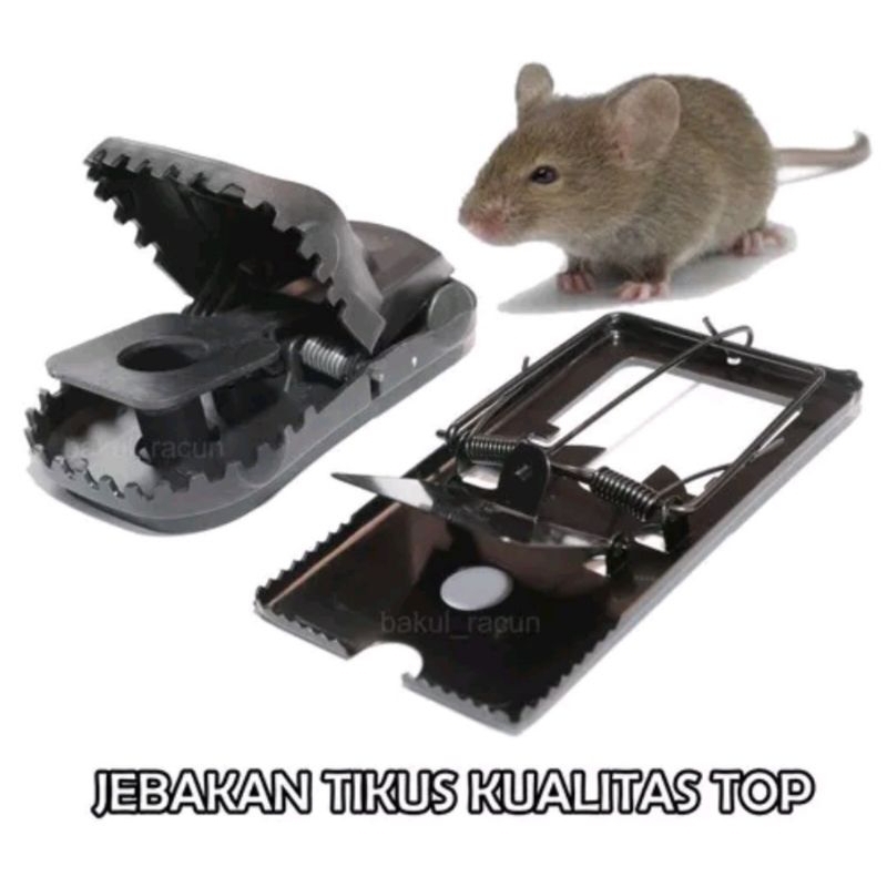 PERANGKAP JEBAKAN TIKUS TANPA BAU