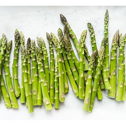 Bibit Tanaman Asparagus