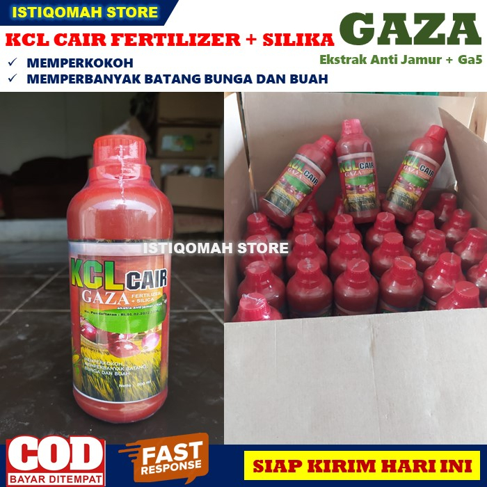 Pupuk KCL Cair Fertilizer + Silika GAZA 500ML Ekstra Anti Jamur + Ga5 untuk Memperkokoh, Memperbanyak Batang, Bunga dan Buah pada Tanaman Cabe Cabai Paling Ampuh