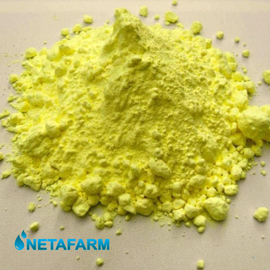 Belerang Bubuk Halus Sulfur Powder Belerang Sulfur 99,8% - 500gr