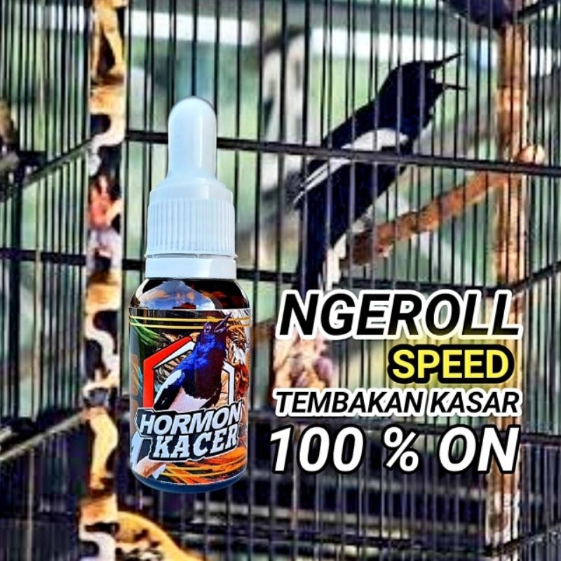 HORMON KACER/hormon kacer/suplemen burung kacer/vitamin burung kacer/jamu burung kacer/penggacor bur