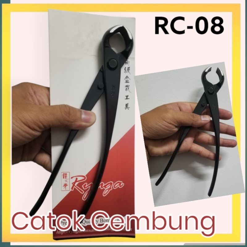 Catok atau krekut bonsai cambung Ryuga RC08