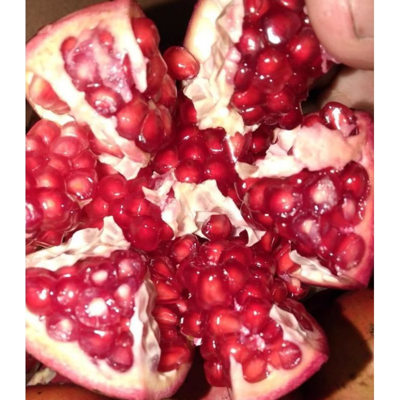 

BUAH DELIMA/ POMEGRANATE IMPORT MERAH DAN FRESH 1 BUAH
