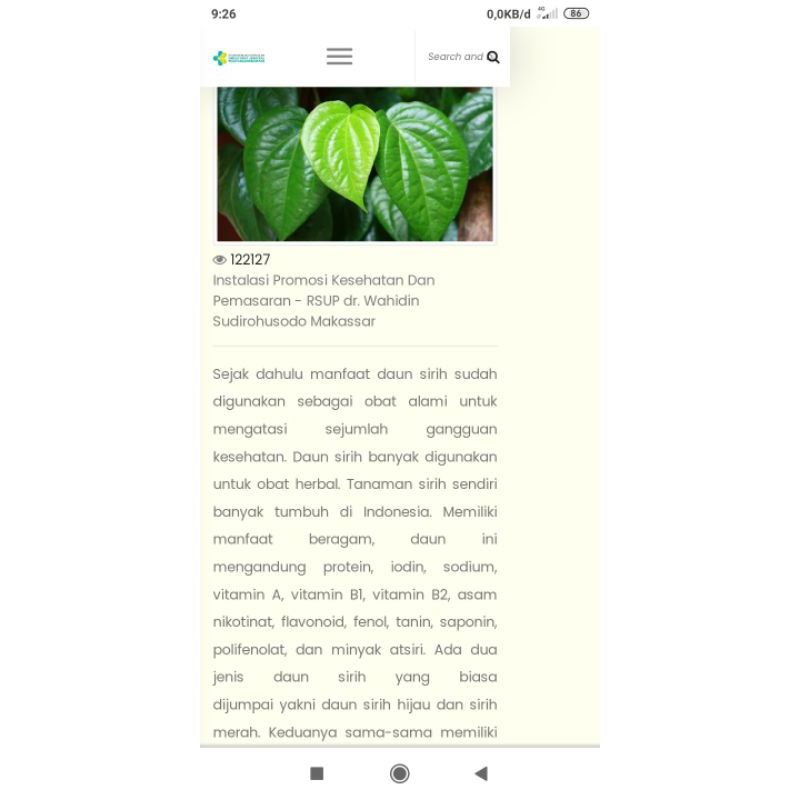 

daun sirih herbal alami