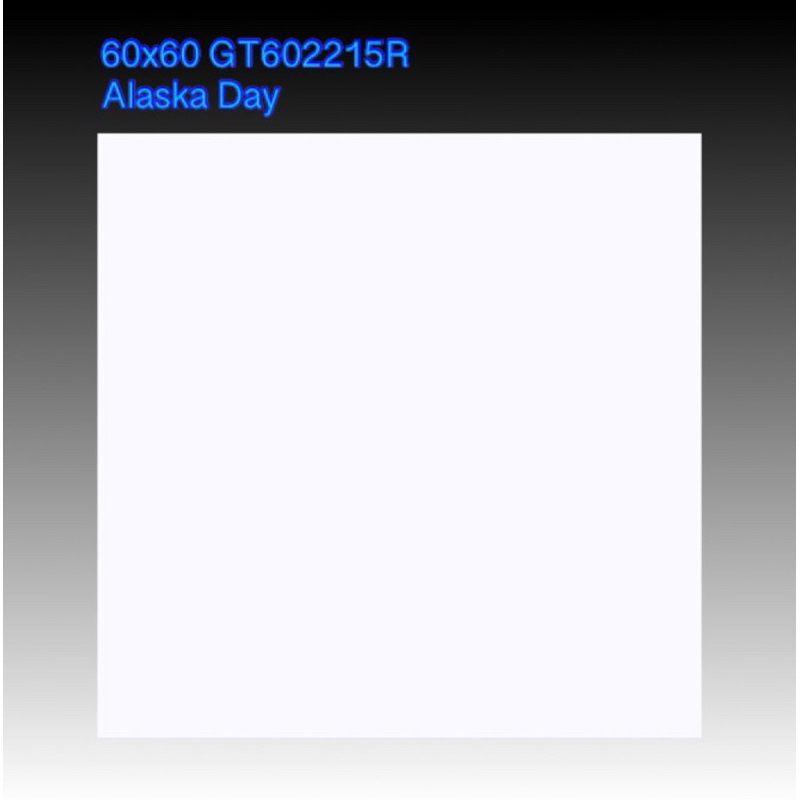 Roman Granit matt dAlaska (White dan Black) size 60x60