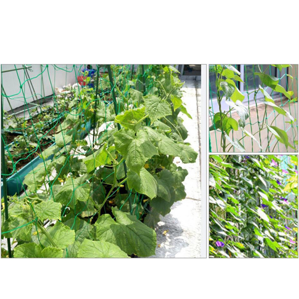 Jaring Nilon Tanaman Rambat Plants Climbing Net 180x180cm - E89LS - Green
