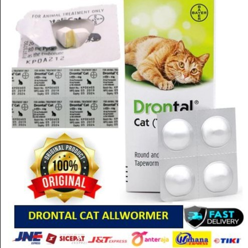 drontal cat, obat cacing kucing - per tablet