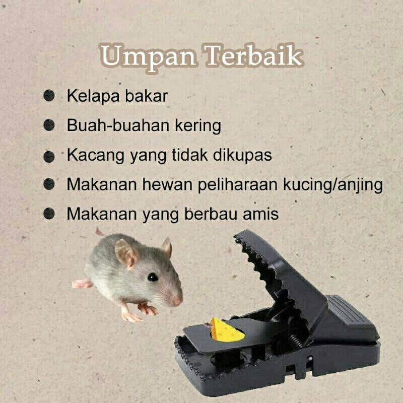 MOUSE TRAP Jumbo; Versi polos jepretan alat pembasmi tikus praktis ; Jebakan tikus ; kualitas super tebal dan awet