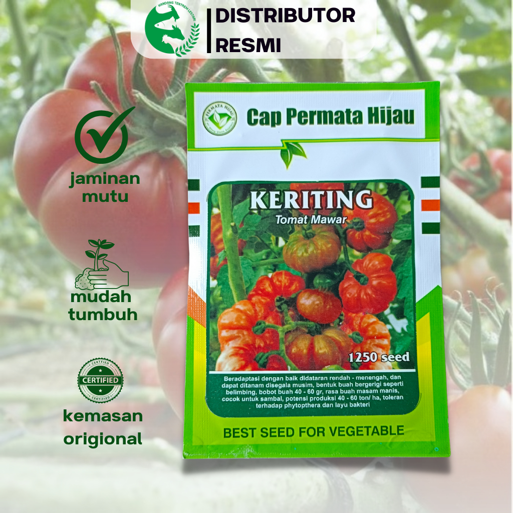Benih Tomat Mawar KERITING 1250 Biji ASLI Cap PERMATA HIJAU