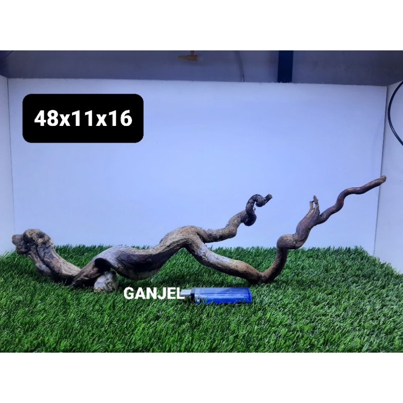 Kayu Santigi Laut Murah Full Tenggelam Size 40-60cm Aquascape Chana Predator