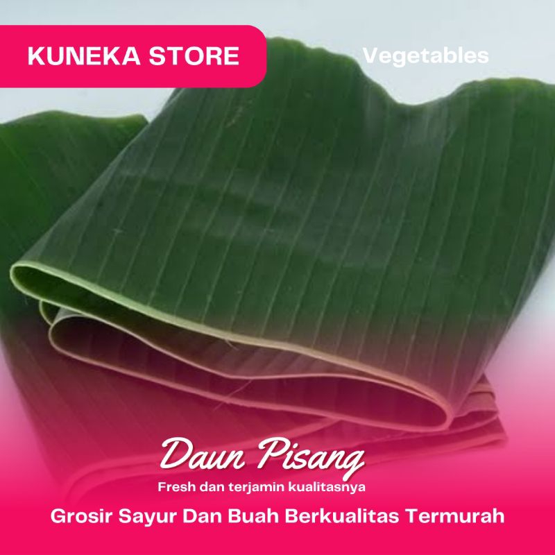 

KUNEKA DAUN PISANG SEGAR PROMO MURAH FRESH BERKUALITAS BEST SELLER BEST PRODUCT