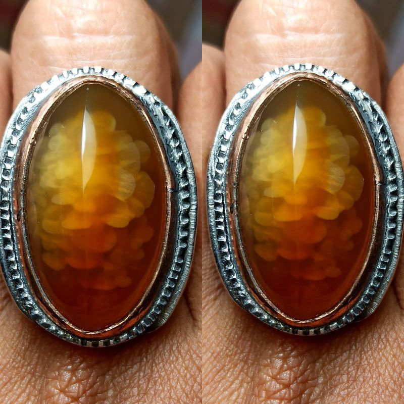 PANDAN NANAS SISIK BETOK