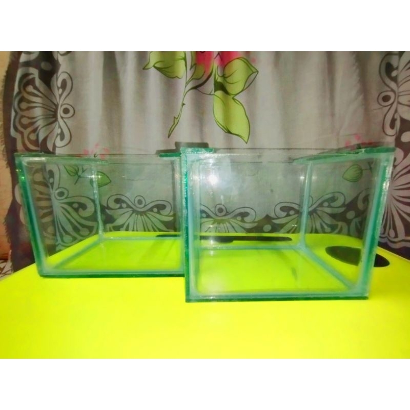 Akuarium Baru cocok untuk ikan Hias Dikamar/ikan cupang