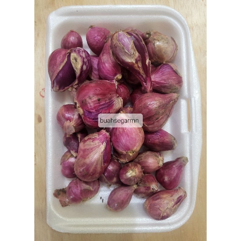 

Bawang Merah Brebes Asli