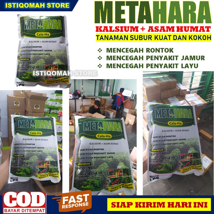 METAHARA 1 KG Pupuk Kalsium + Asam Humat Pencegah Rontok pada Tanaman Cabe Paling Ampuh, Pupuk Kalsium Anti Rontok Bunga dan Buah Cabe yang Bagus dan Manjur, Pupuk Cabe Mencegah Rontok, Penyakit Jamur dan Penyakit Layu pada Tanaman Cabe TERLARIS