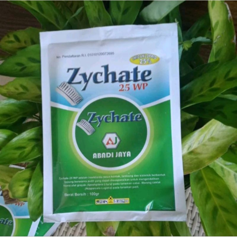 Zychate 25wp 25gram