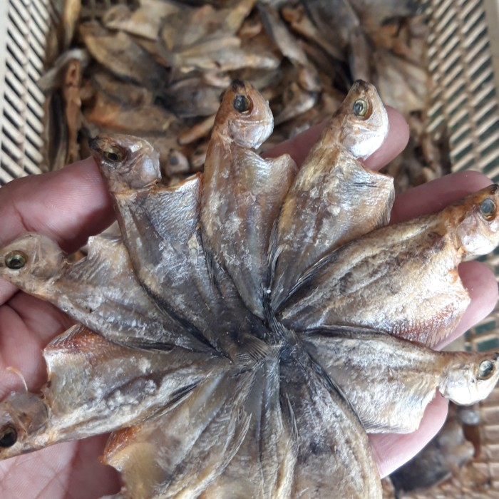 

IKAN ASIN SEPAT UKURAN KECIL 250GR