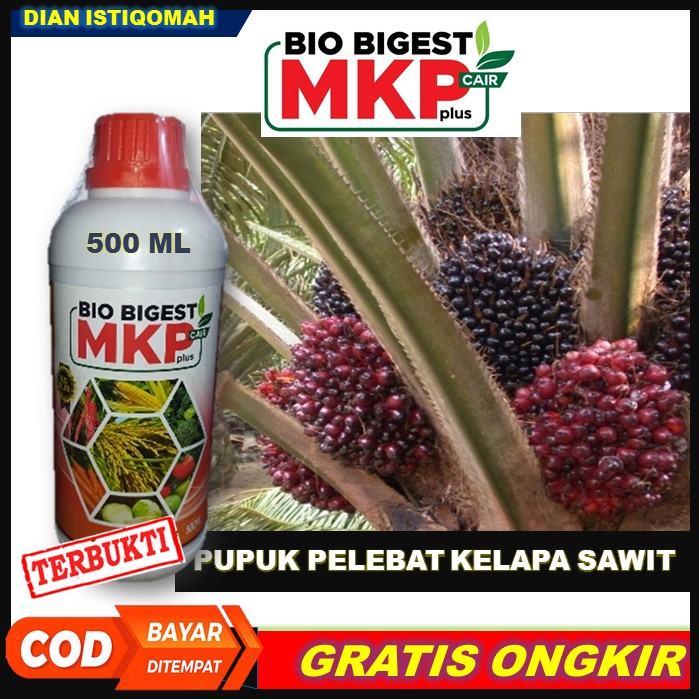 BAYAR COD DI RUMAH BIO BIGEST 500ml MKP Cair Plus Obat Pelebat Kelapa Sawit - Pupuk Cair Penyubur Ta