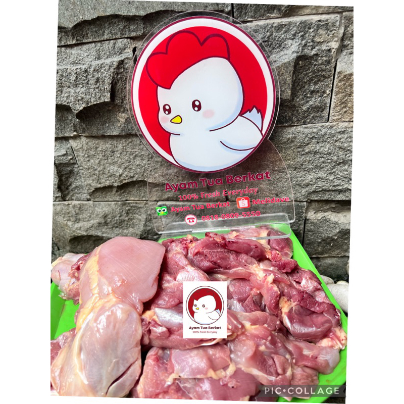 

FRESH Daging Fillet paha ayam tua/afkir/peren boneless jakarta parent Kualitas terbaik