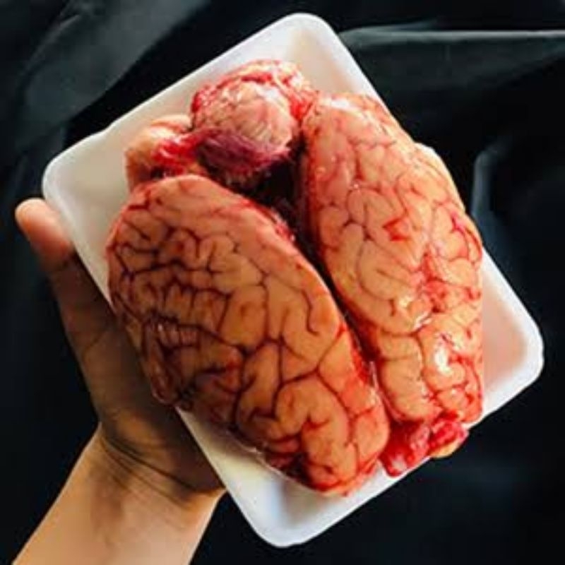 

OTAK SAPI PREMIUM 1pcs