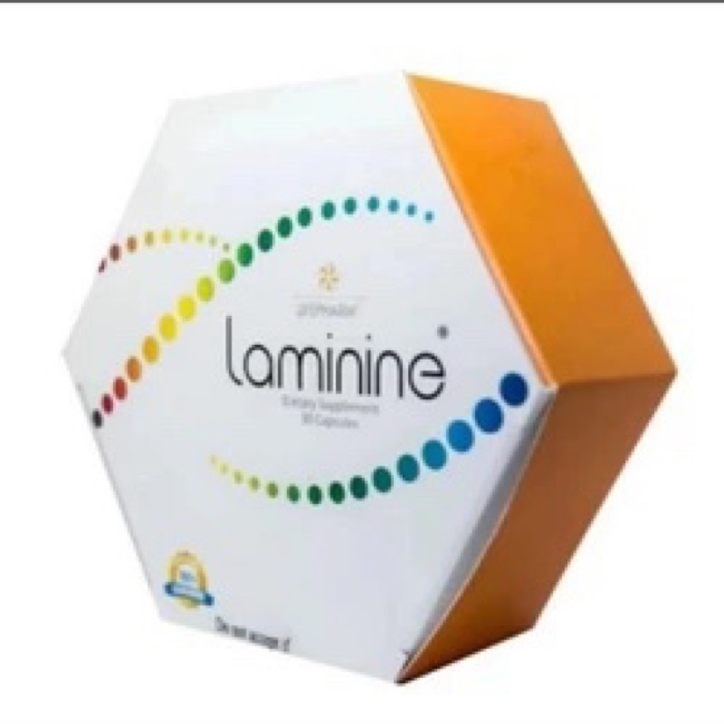 LAMININE ASAM AMINO