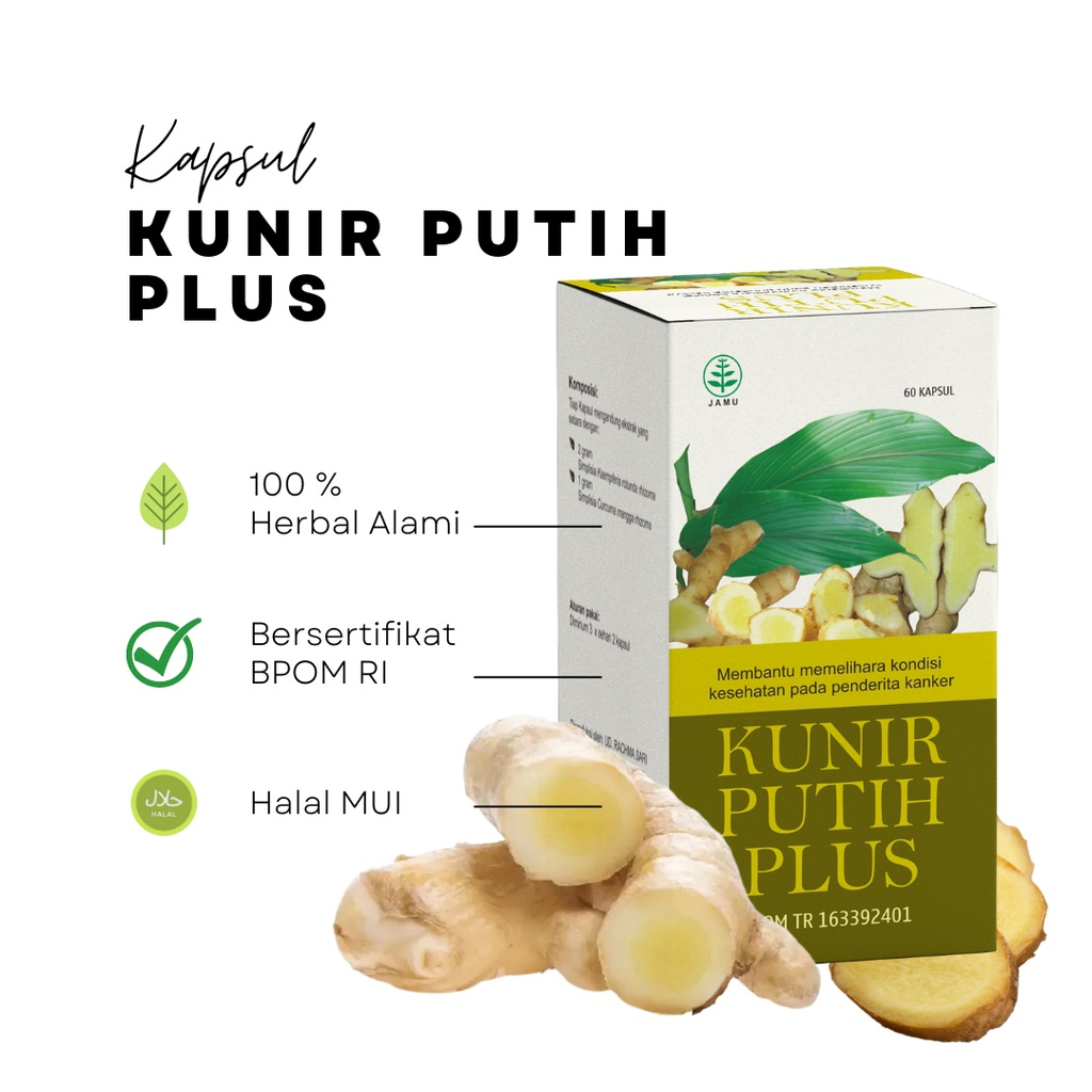 PROMO Ekstrak KUNIR PUTIH PLUS Obat Kanker Zedori Kunir putih Kunyit Plus Temu Mangga 60 Kapsul