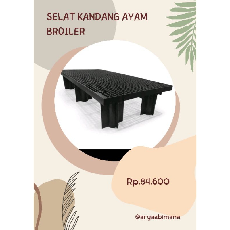 selat alas kandang ayam broiler