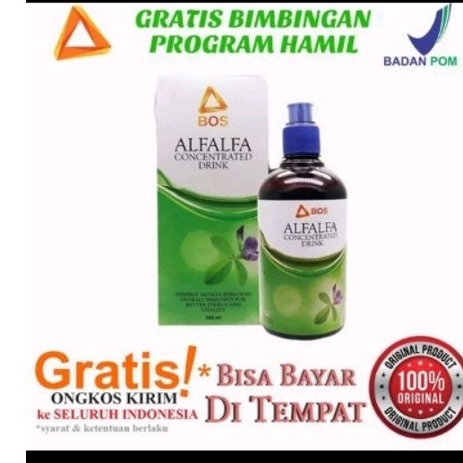 Alfalfa herbal bee