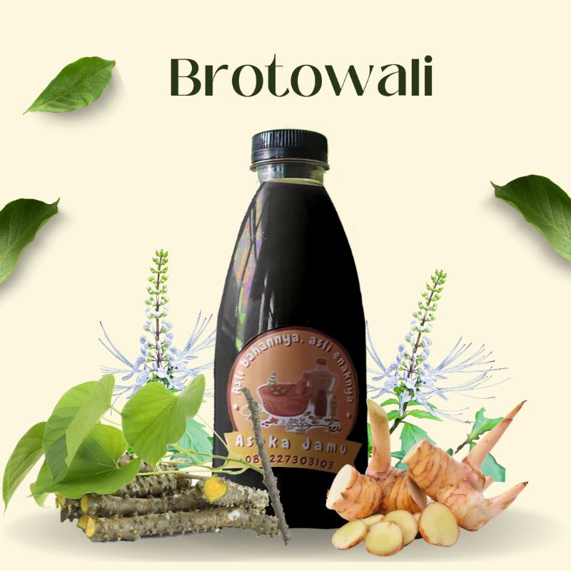 

Jamu Brotowali
