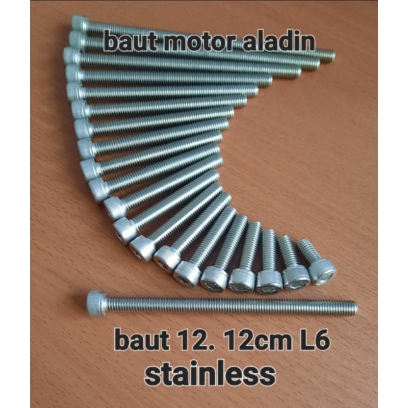 Baut L6/M8x12cm stainless