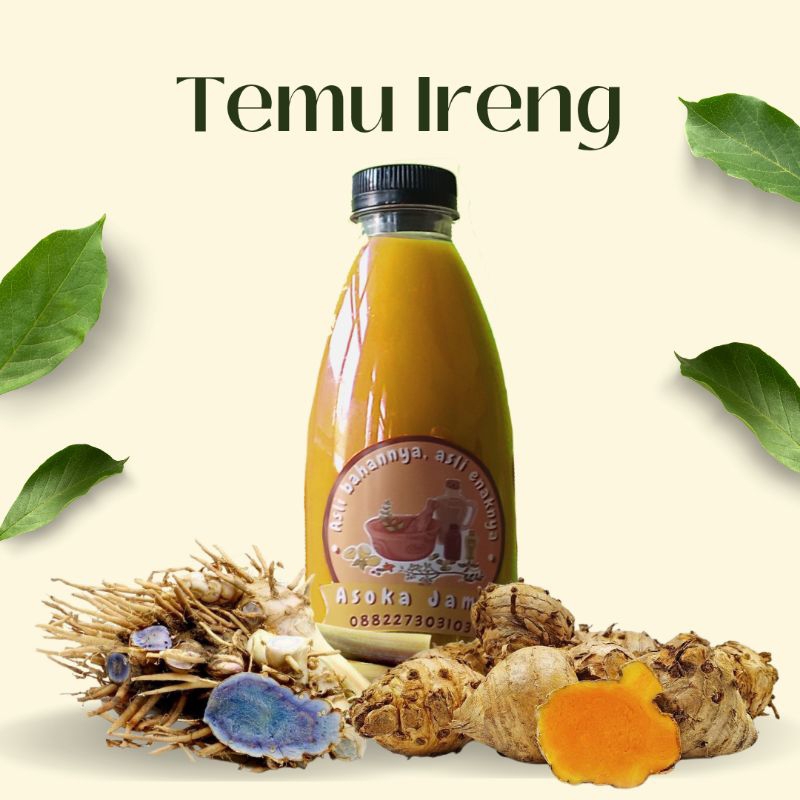 

Jamu Temu Ireng