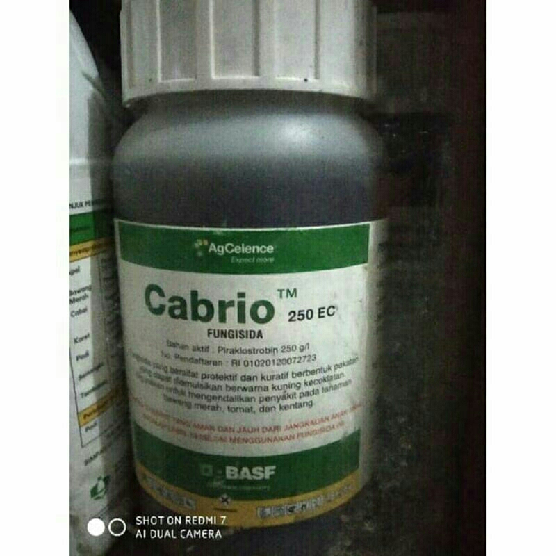 obat pertanian fungisida cabriyo 250ml