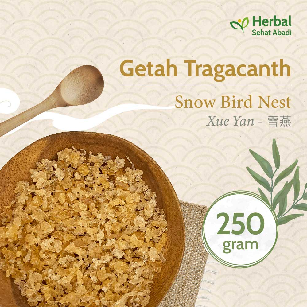 

Snow Bird Nest 250 gram / Xue Yan (雪燕) / Getah Tracaganth