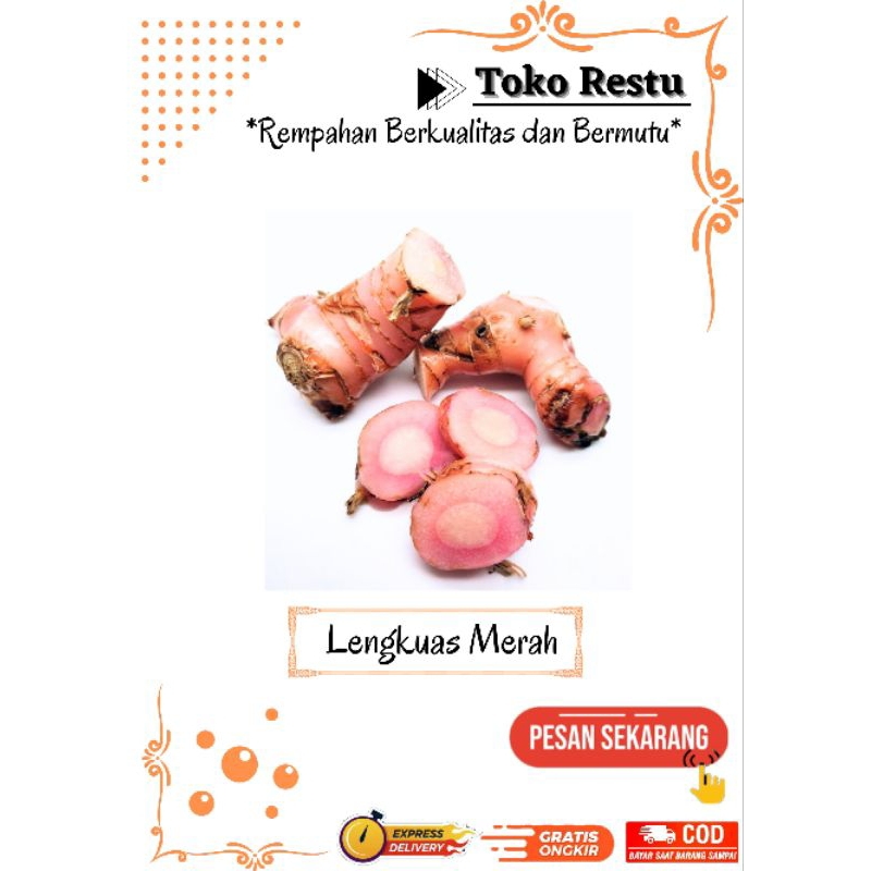 

Lengkuas Merah by Toko Restu - Rempahan Berkualitas dan Bermutu