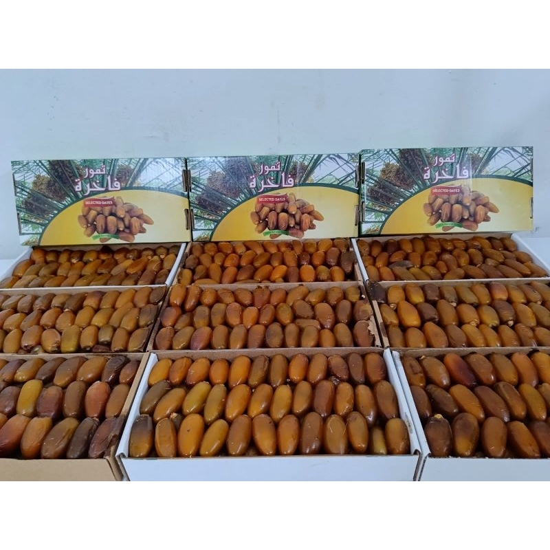 kurma rutob ruttob  libya 1 kg