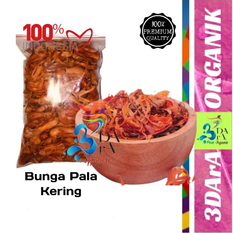 

Bunga Pala Kering - Kembang Polo