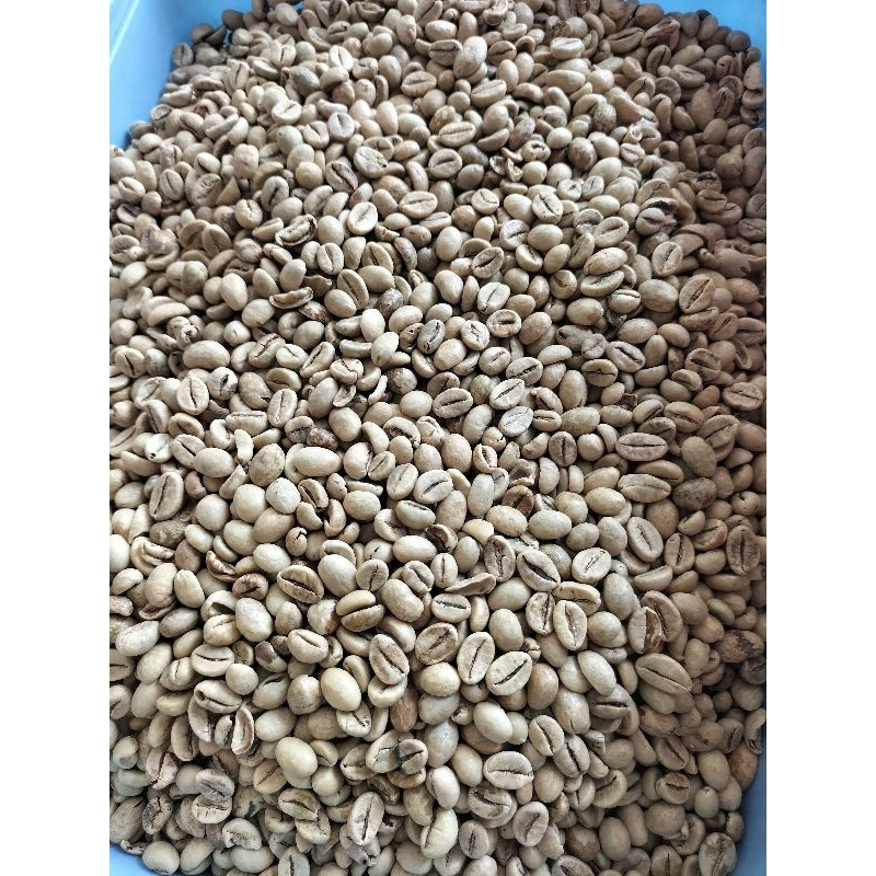 

BIJI KOPI ROBUSTA ANA GREEN BEAN 1KG