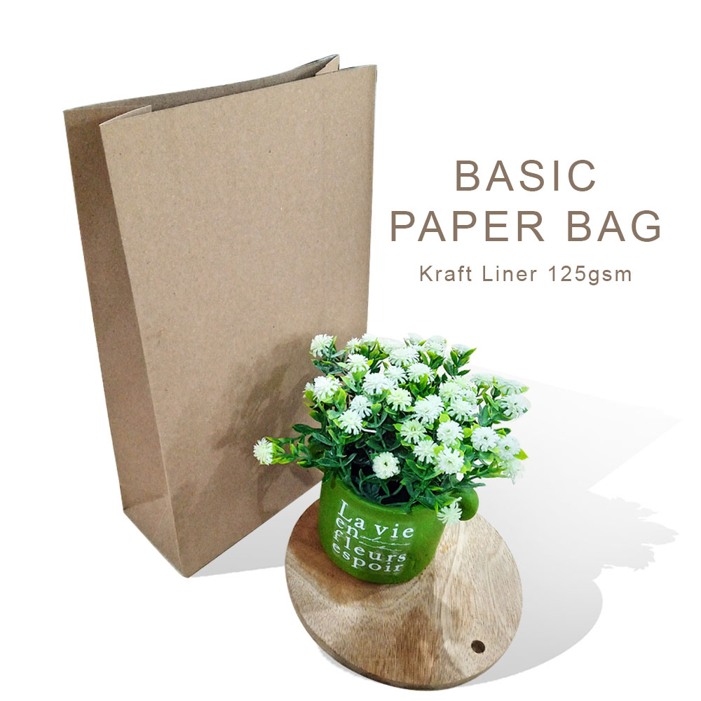 

BASIC PAPER BAG - KRAFT 125gsm 16 x 7 x 27 cm