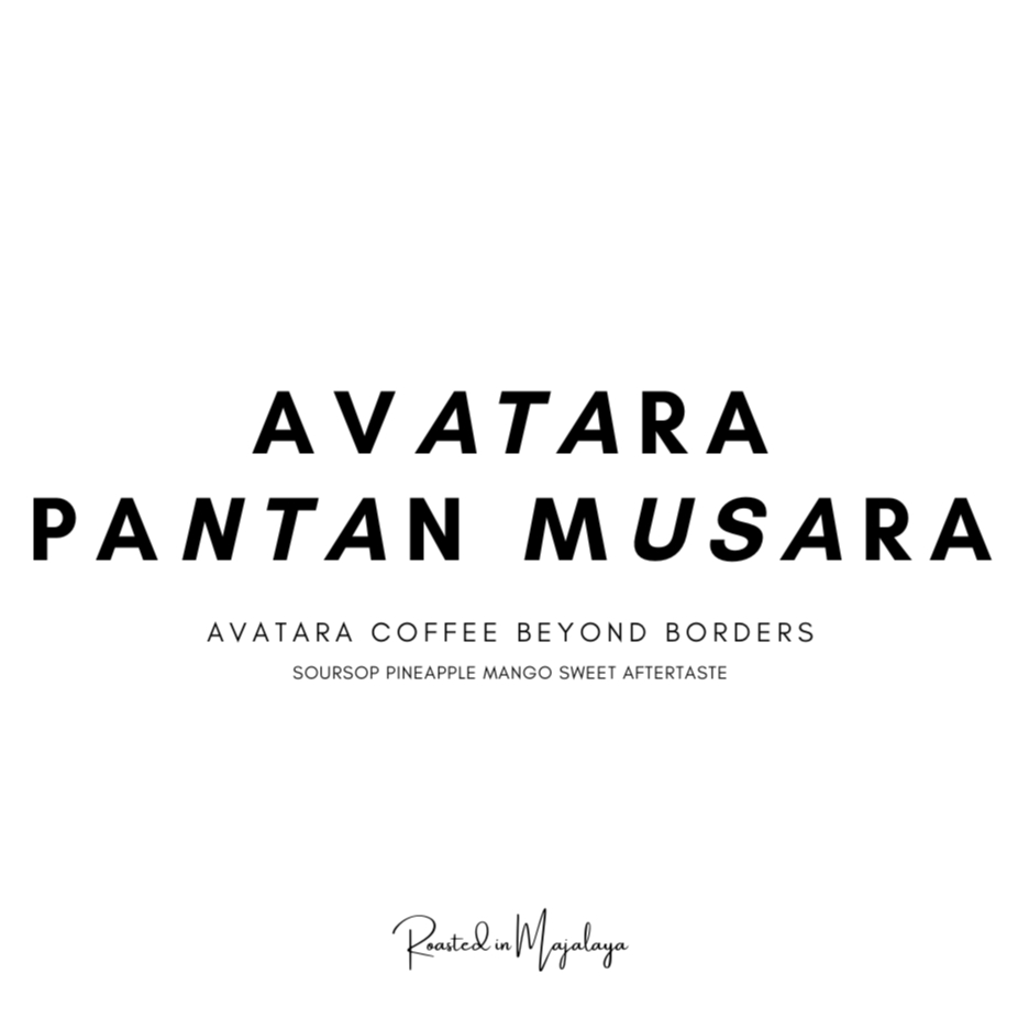 

Kopi Gayo Pegasing Avatara Pantan Musara Carbonic Maceration Proses - Arabica Specialty Coffee