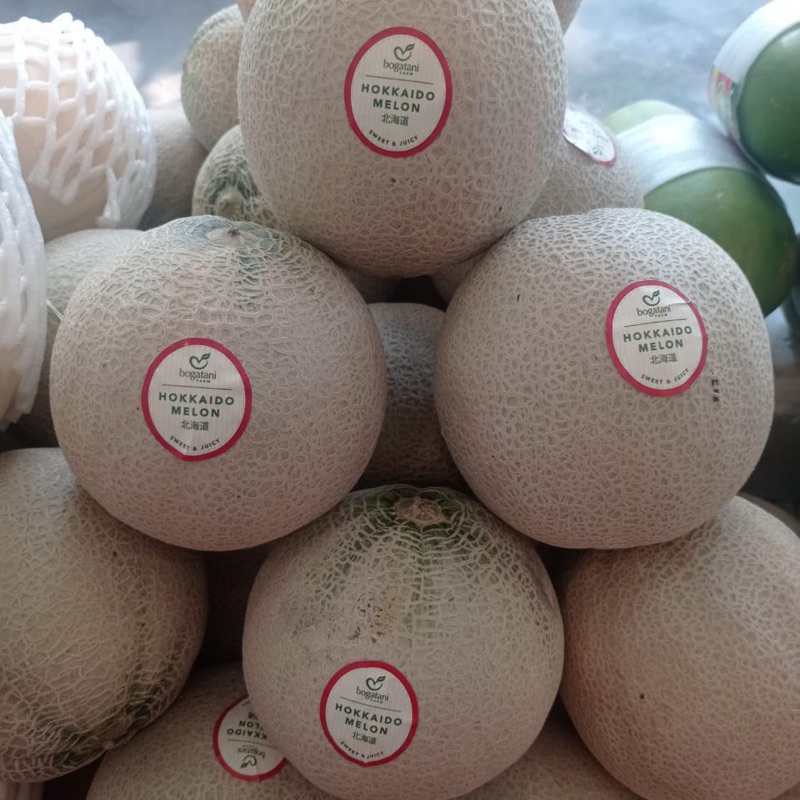 

Hokkaido melon | Buah melon Hokkaido Hydroponic | Melon manis / pcs