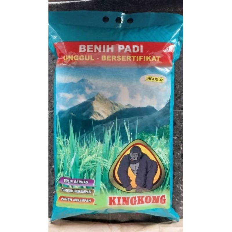 benih pedi INPARI 32 cap KINGKONG
