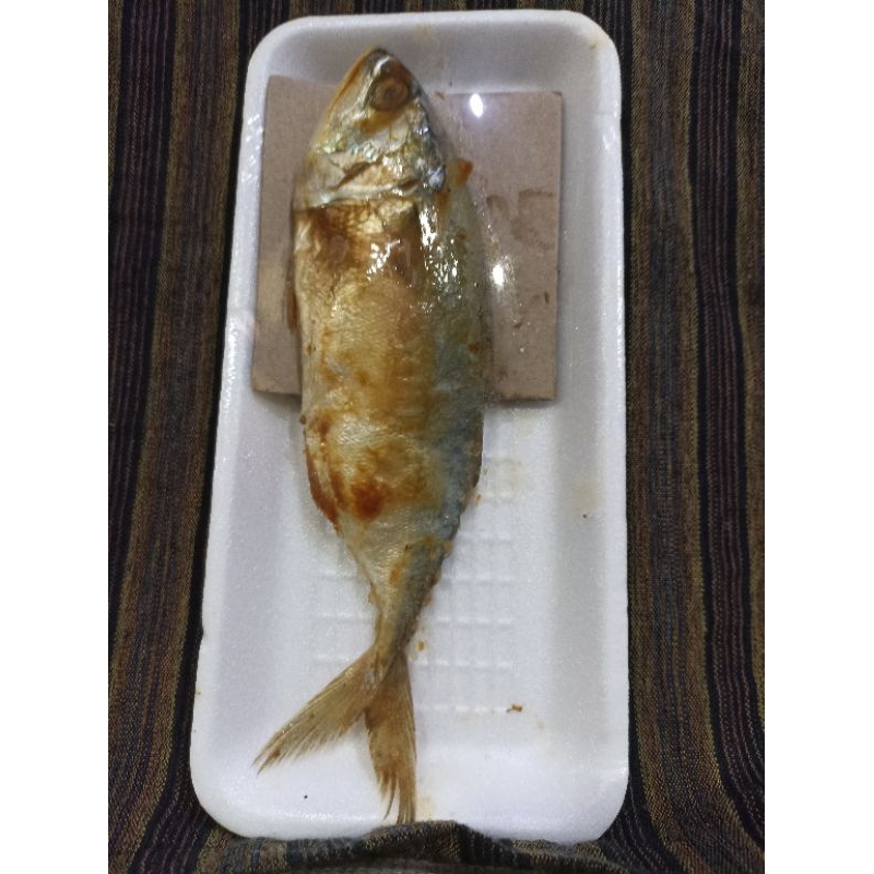 

asin peda merah isi 1