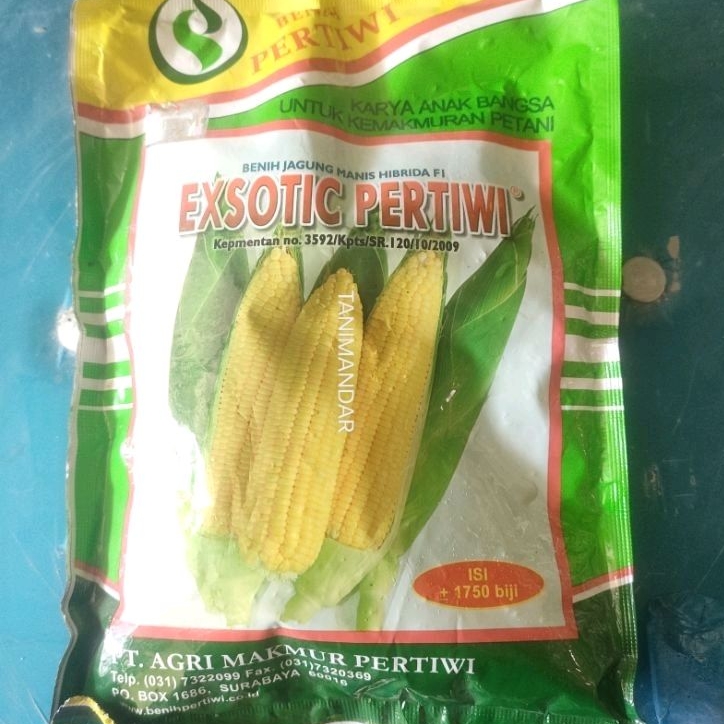 Benih Jagung Manis EXOTIC PERTIWI Isi 1750 Butir Benih Unggul Pertiwi