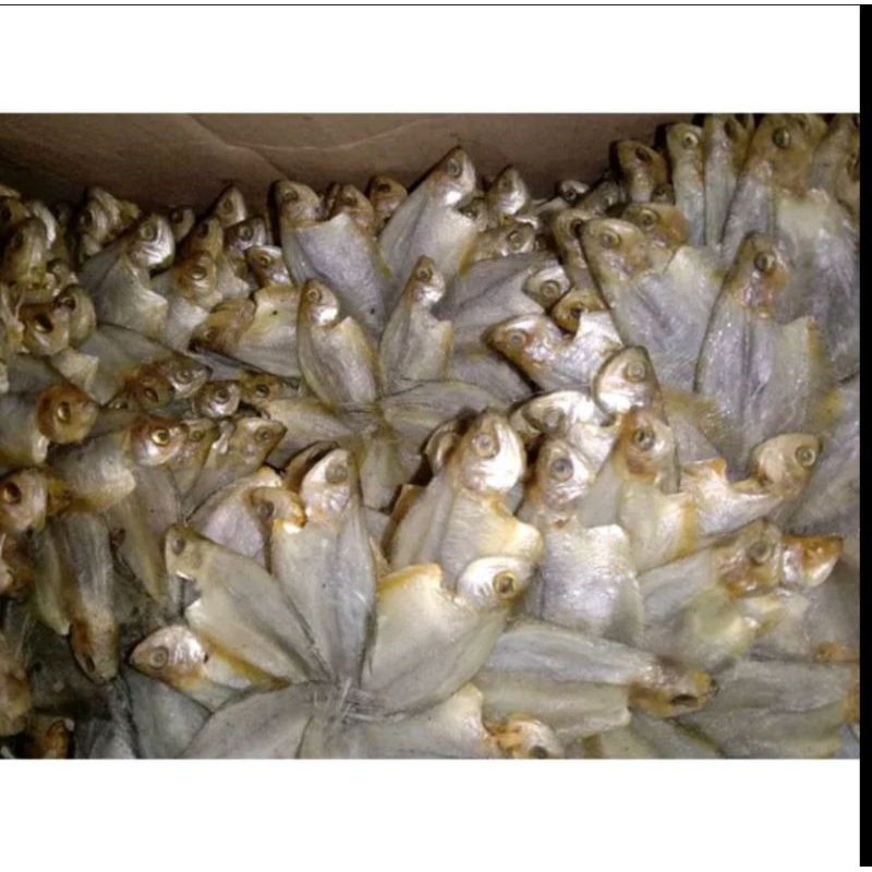 

ikan kering Sepat Kalimantan