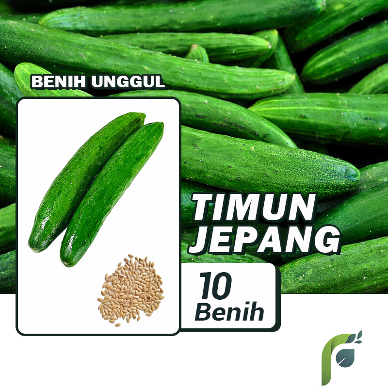 Benih Bibit Timun Jepang 10 Benih Seribuan PG KDR