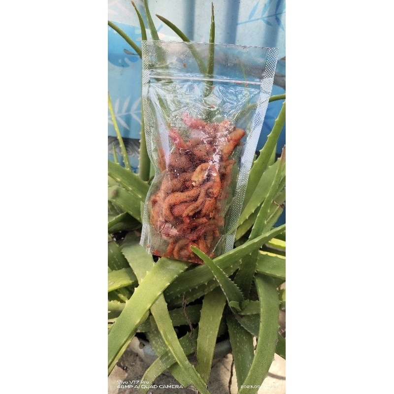 

usus_pedas