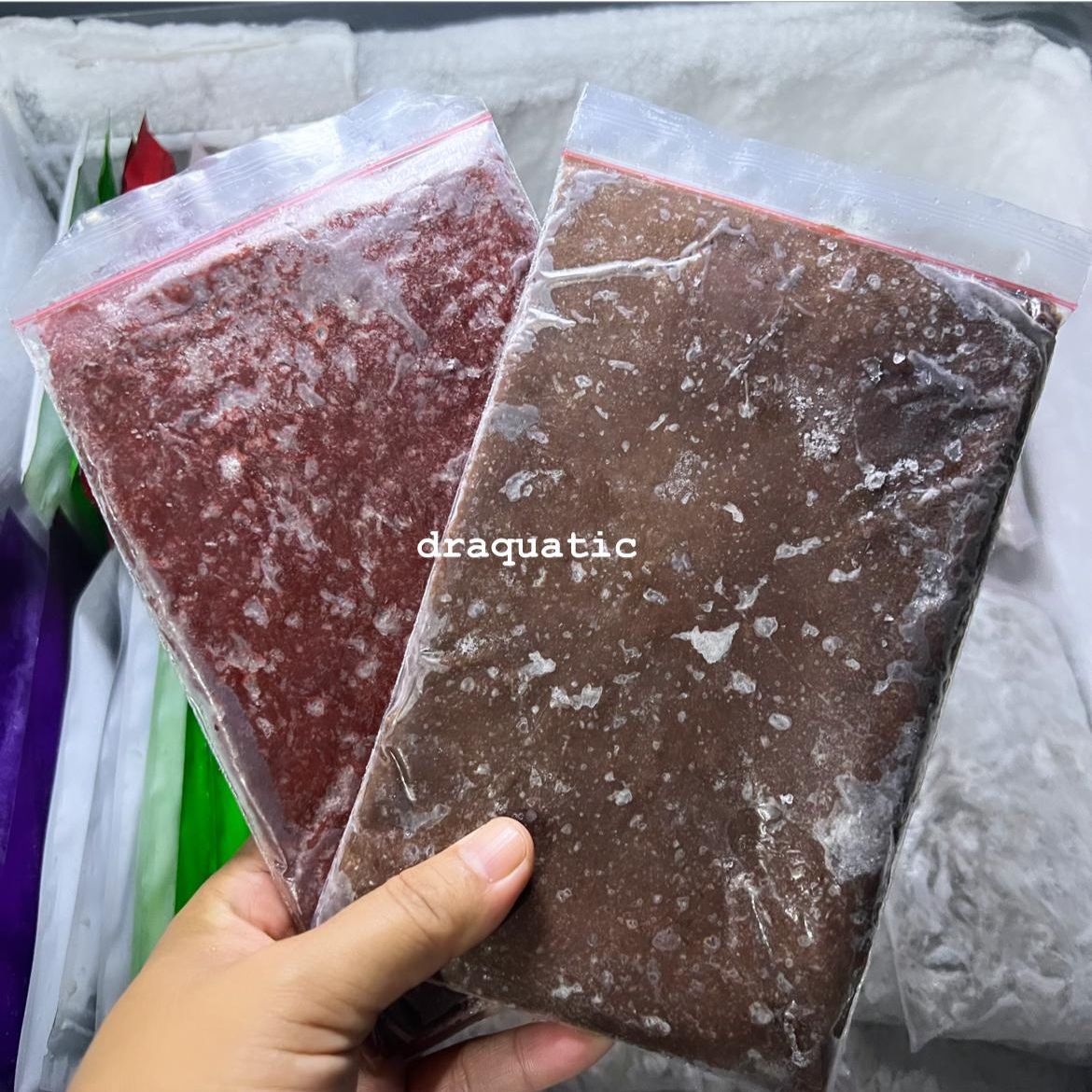pakan ikan | berger discus | makanan berger discus | AW berger discus | AW burger discus