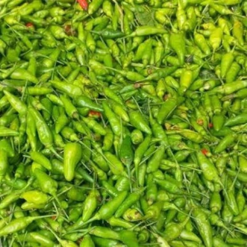 

cabe rawit hijau organik 100 gr